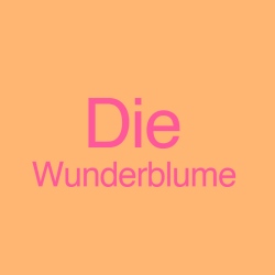 Die Wunderblume