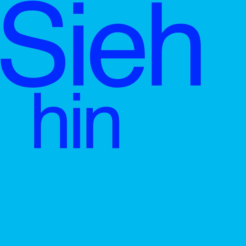 Sieh hin
