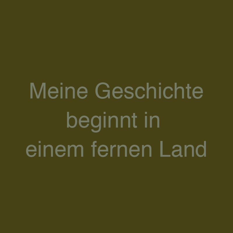 Meine Geschichte beginnt in einem fernen Land.