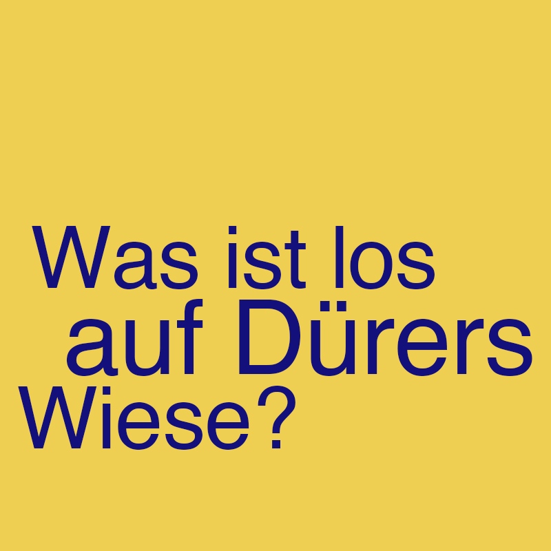 Was ist los auf Dürers Wiese?